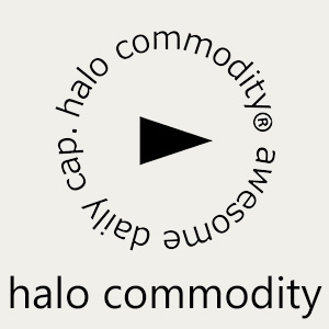 halocommodity ハローコモディティ vic2 ビックツー 吉祥寺